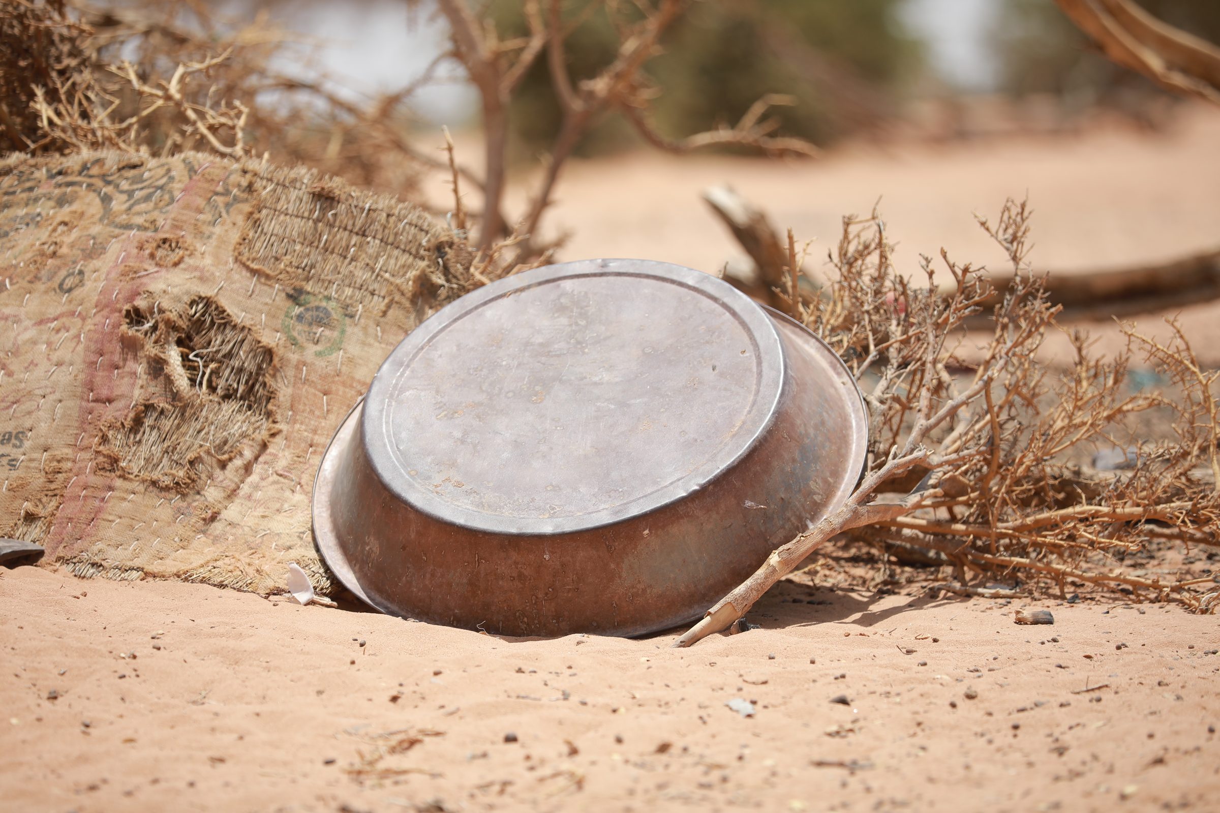 An upturned metal basin lying in sand beside dry branches